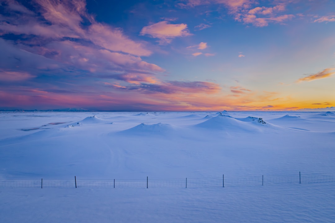 Onbekend nummer gebeld? Dit moet je weten over +31 316 72 81 25