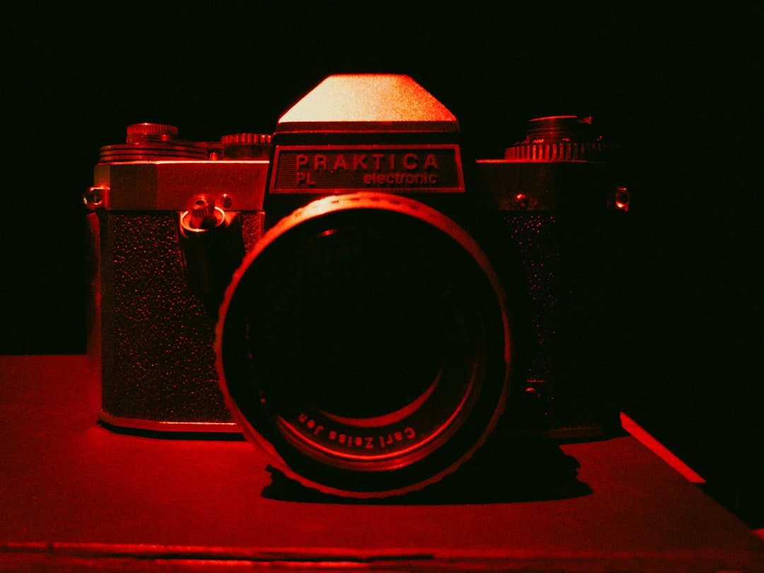 Sylwia uit B&B Vol Liefde: Haar verleden als actrice, model en tv-persoonlijkheid